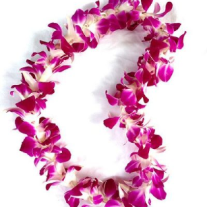 Orchid Lei